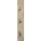 Oberlichtschnäpper inkl. Schrauben 25 x 49 x 72mm verzinkt