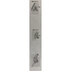 HETTICH Oberlichtschnäpper inkl. Schrauben, 48 x 46 x 54 mm, vernickelt