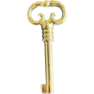 Hettich Buntbart-Schlüssel, 75 x 4 mm, Stahl vermessingt