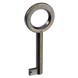 HETTICH Buntbart-Schlüssel, 65 x 4 mm, Stahl brüniert