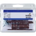 HETTICH Renovierband für Zimmertür, 15 x 83,5mm, braun, 2 Stück