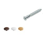 HETTICH Verbindungsschraube 6,3x50mm vz m. Kappe 16...